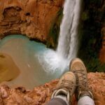 Pet Sim X-anmeldelsen: Udforsk spillets funktioner og hvad det bringer til bordet